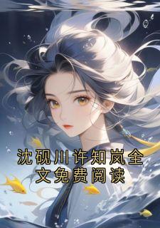 她山玥的小说沈砚川许知岚全文免费阅读全文阅读