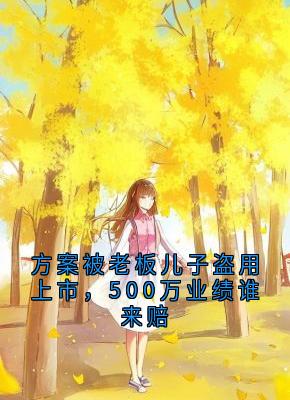 方案被老板儿子盗用上市,500万业绩谁来赔知乎小说最新章节阅读