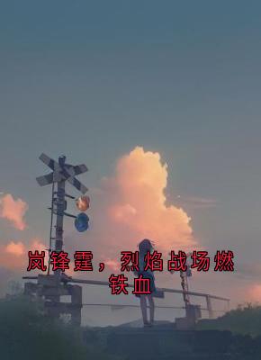 【热文】岚锋霆，烈焰战场燃铁血主角岚锋霆小说全集免费阅读-暗夜阅读网