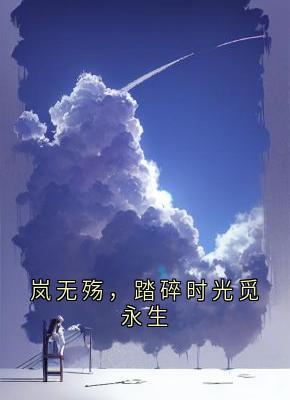 岚无殇(原文完整)岚无殇,踏碎时光觅永生无弹窗免费阅读