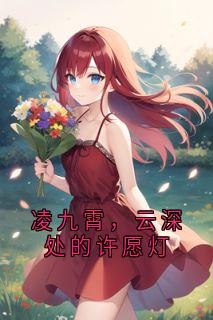 凌九霄,云深处的许愿灯(凌九霄青禾)最新章节