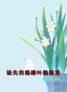 (精品)缺失的眼睛叶驰程诺小说