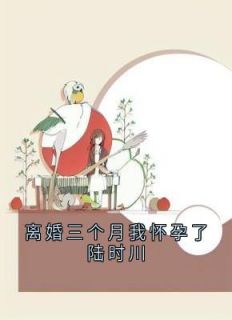 梁锦岁陆时川完整版离婚三个月我怀孕了陆时川全文最新阅读