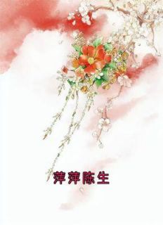 免费完结小说萍萍陈生萍萍陈生无弹窗免费阅读-暗夜阅读网