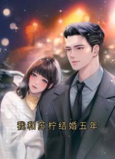 我和苏柠结婚五年完整版免费阅读，叶景辰苏柠小说大结局在哪看-暗夜阅读网